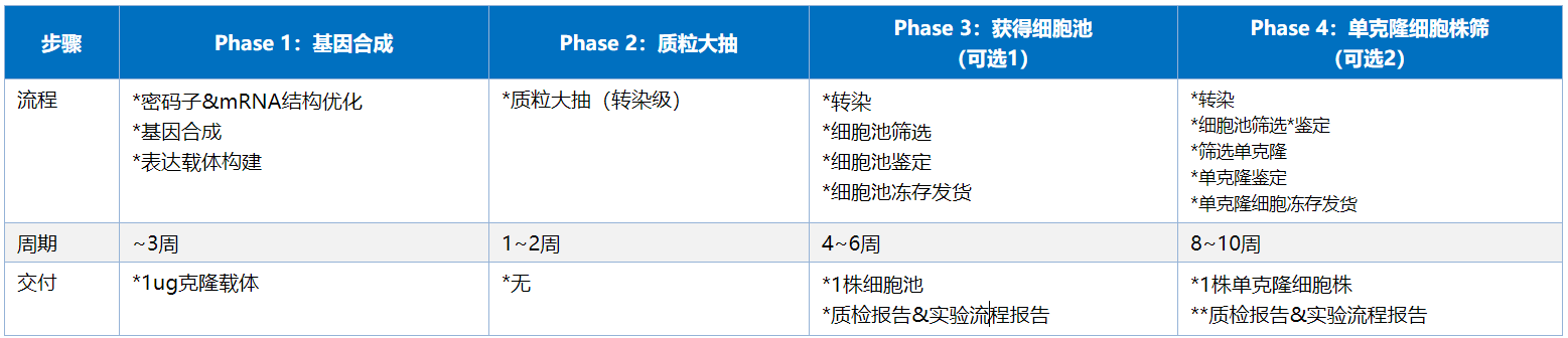 穩(wěn)轉(zhuǎn)細胞株構(gòu)建