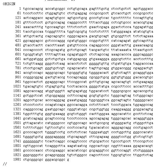 640 (17)